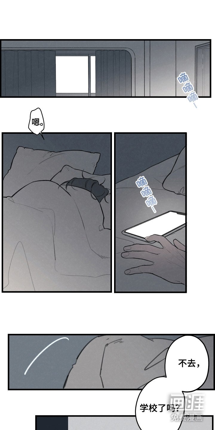 第3章：喜欢我吗