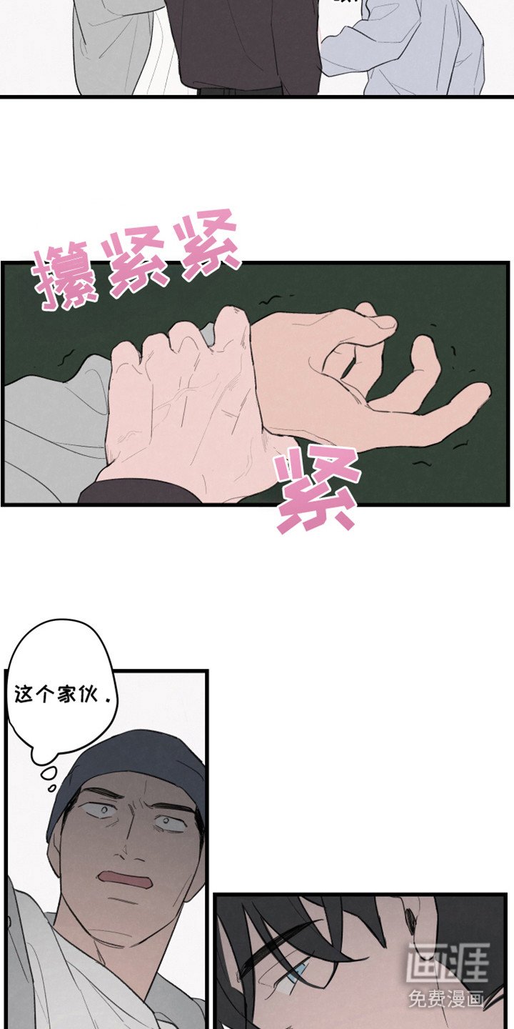第31章：什么啊