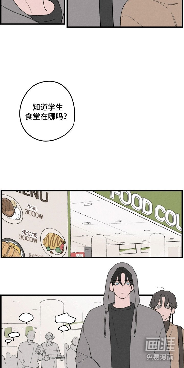 第4章：期待落空