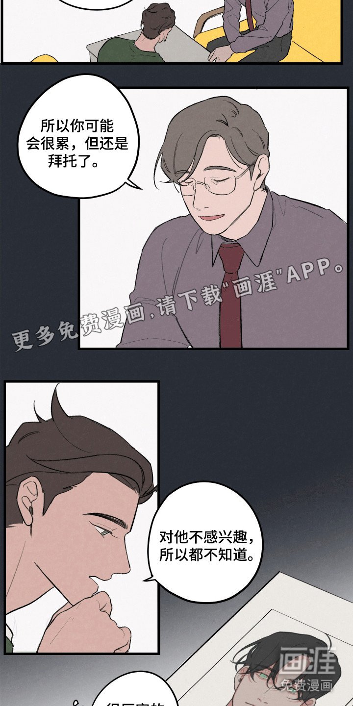 第5章：可以期待一下