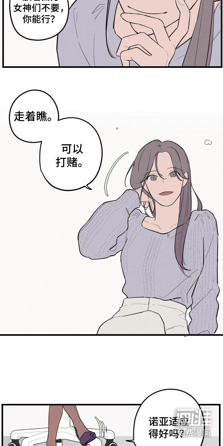 第5章：可以期待一下
