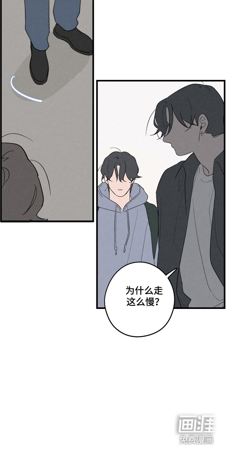 第52章：【第二季】贪心