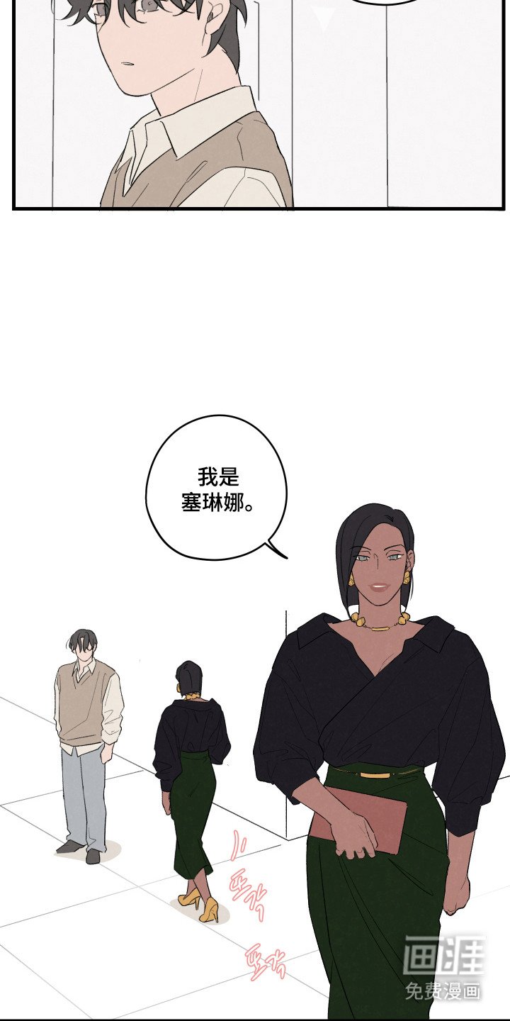 第55章：【第二季】再次画画