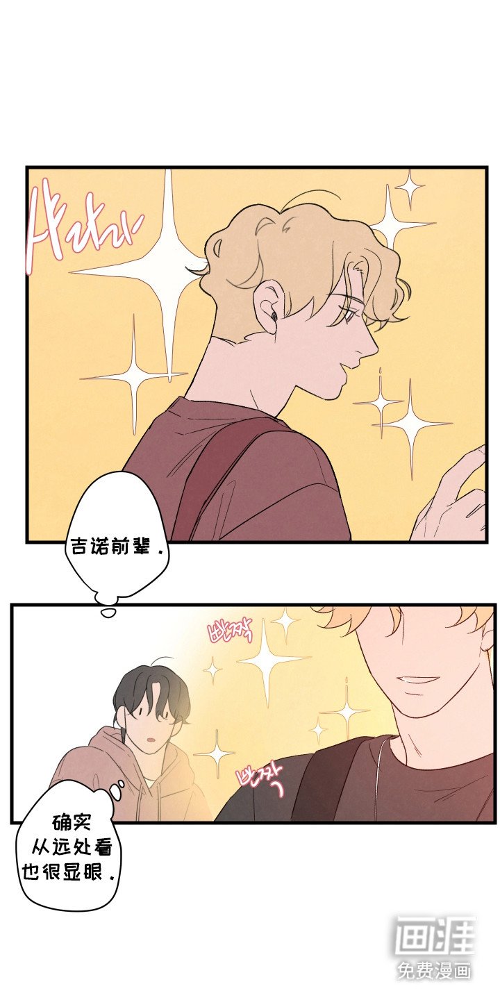 第62章：【第二季】看电影