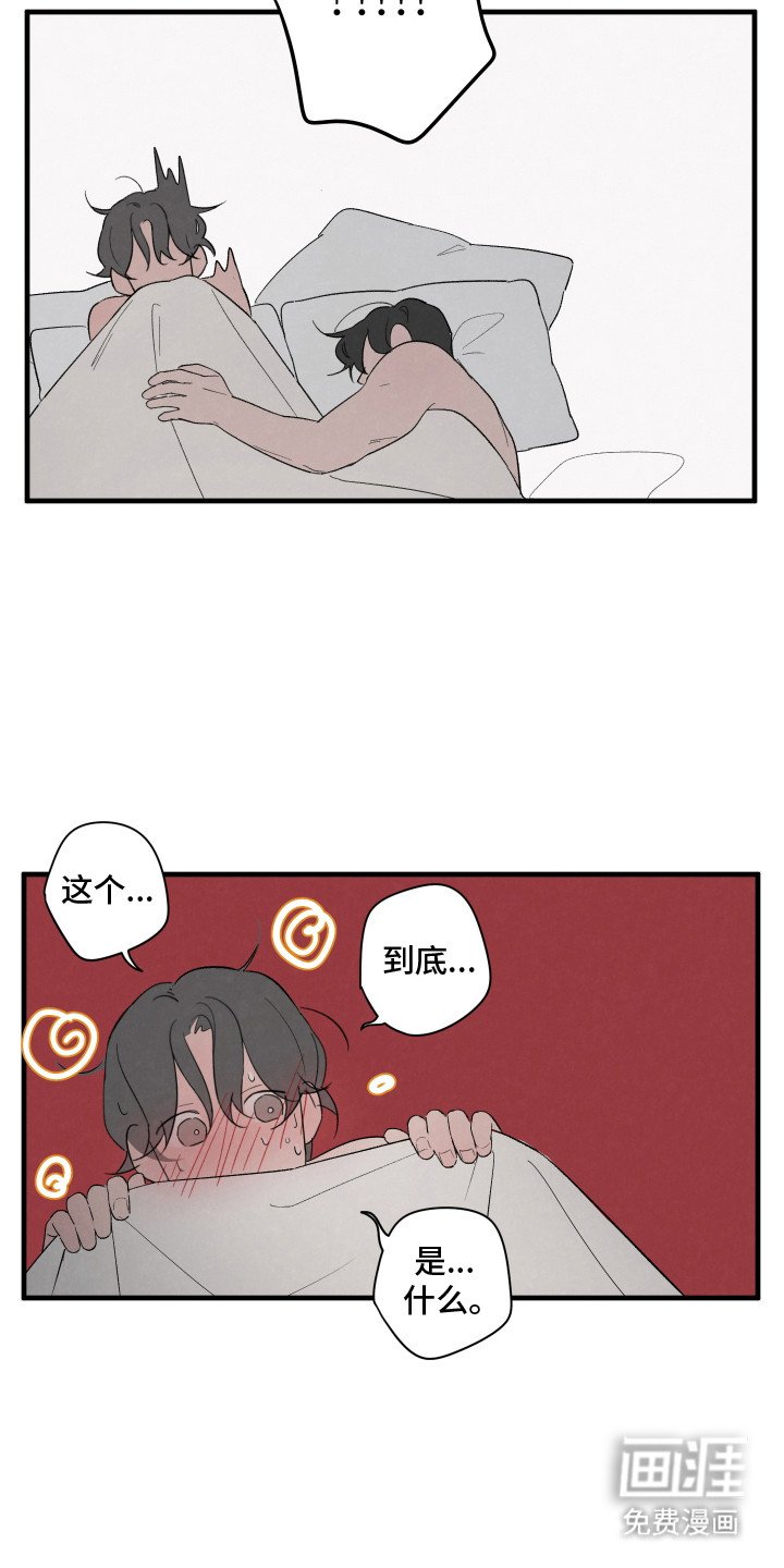 第65章：【第二季】选择权利