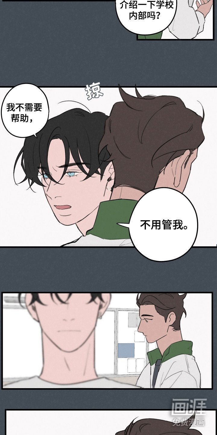 第7章：比赛