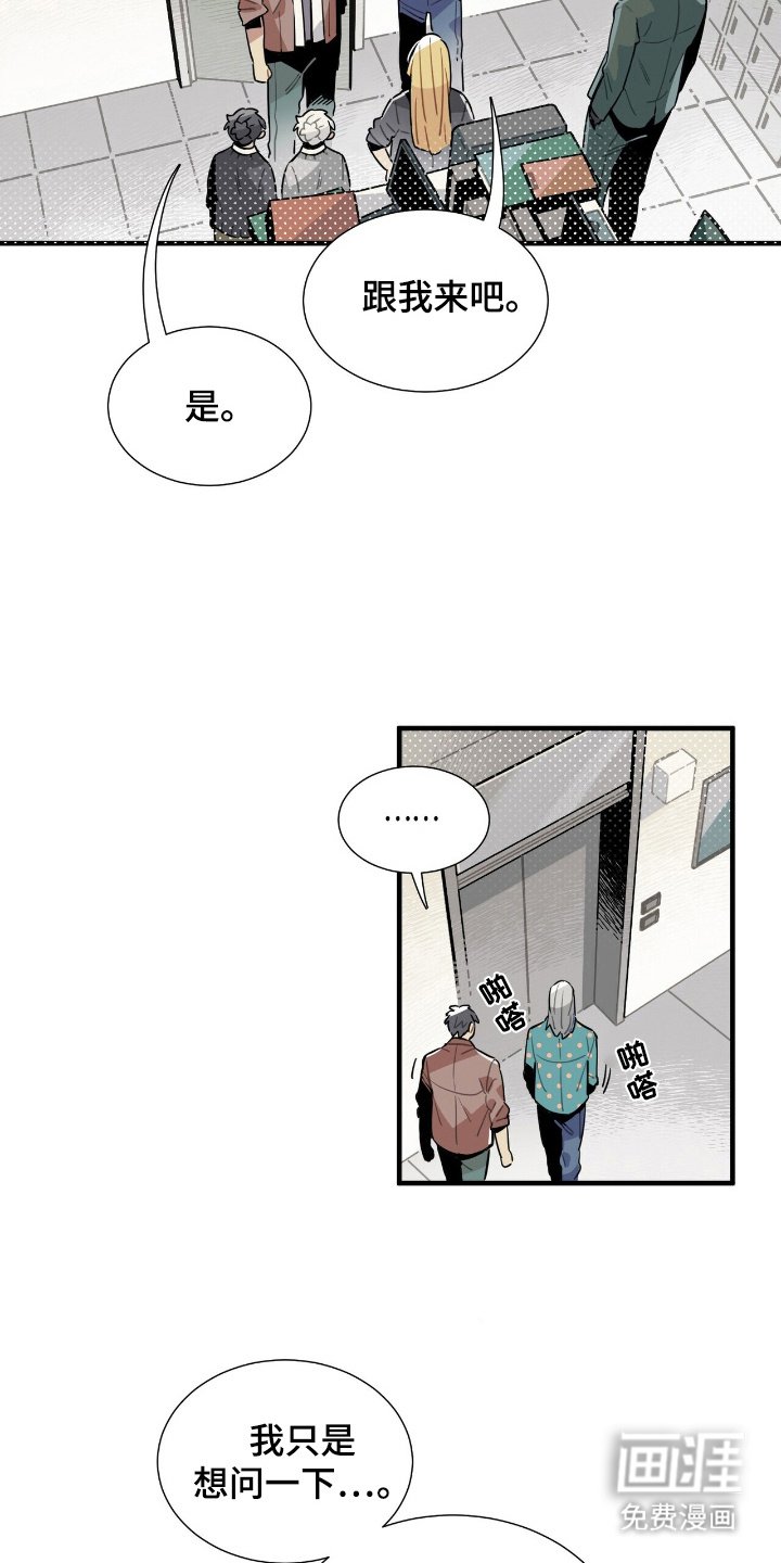 第4章：怪异网站