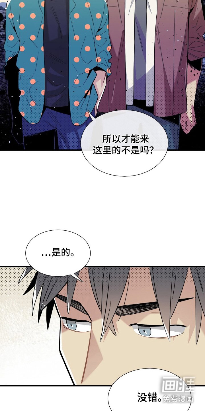 第4章：怪异网站