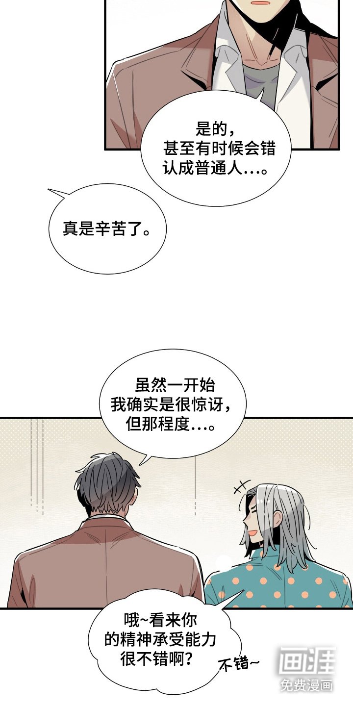 第4章：怪异网站