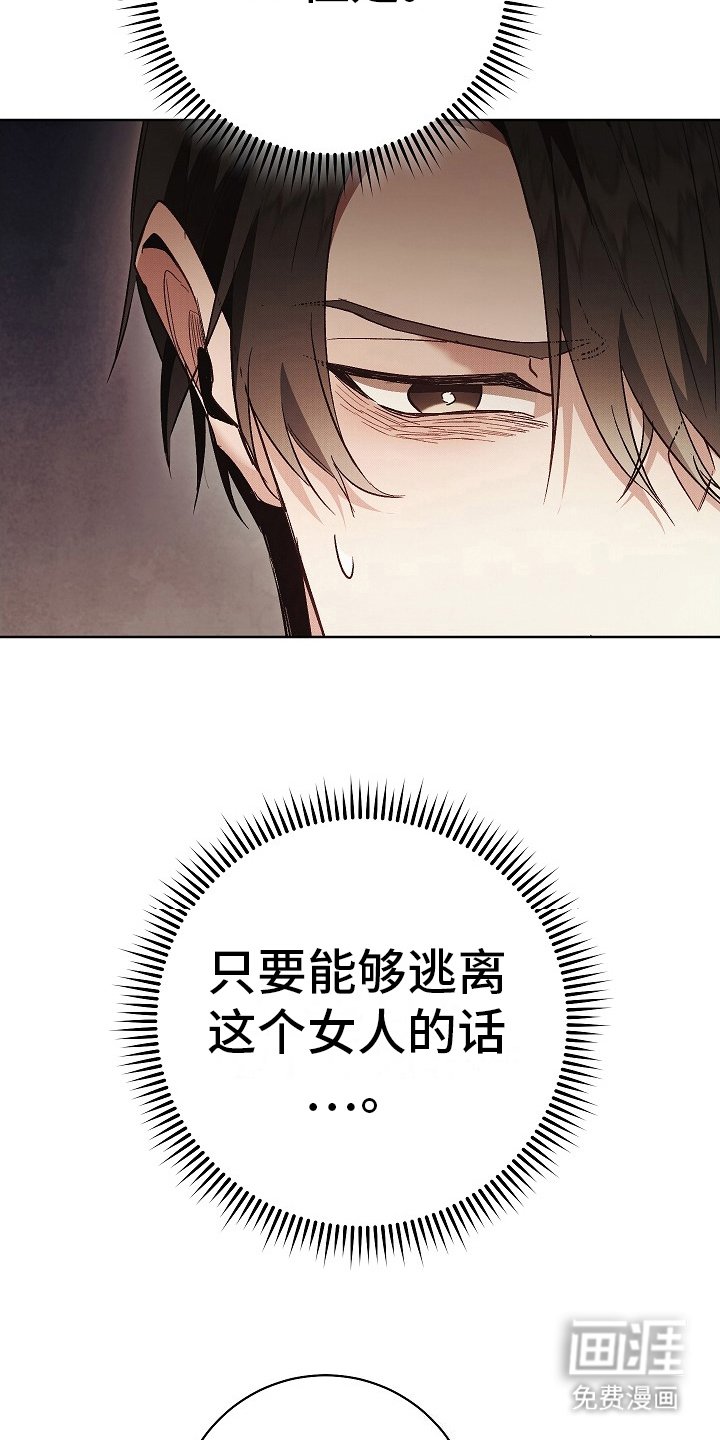 第15章：践踏