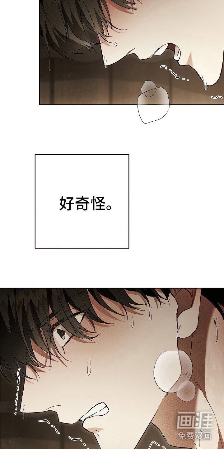 第15章：践踏