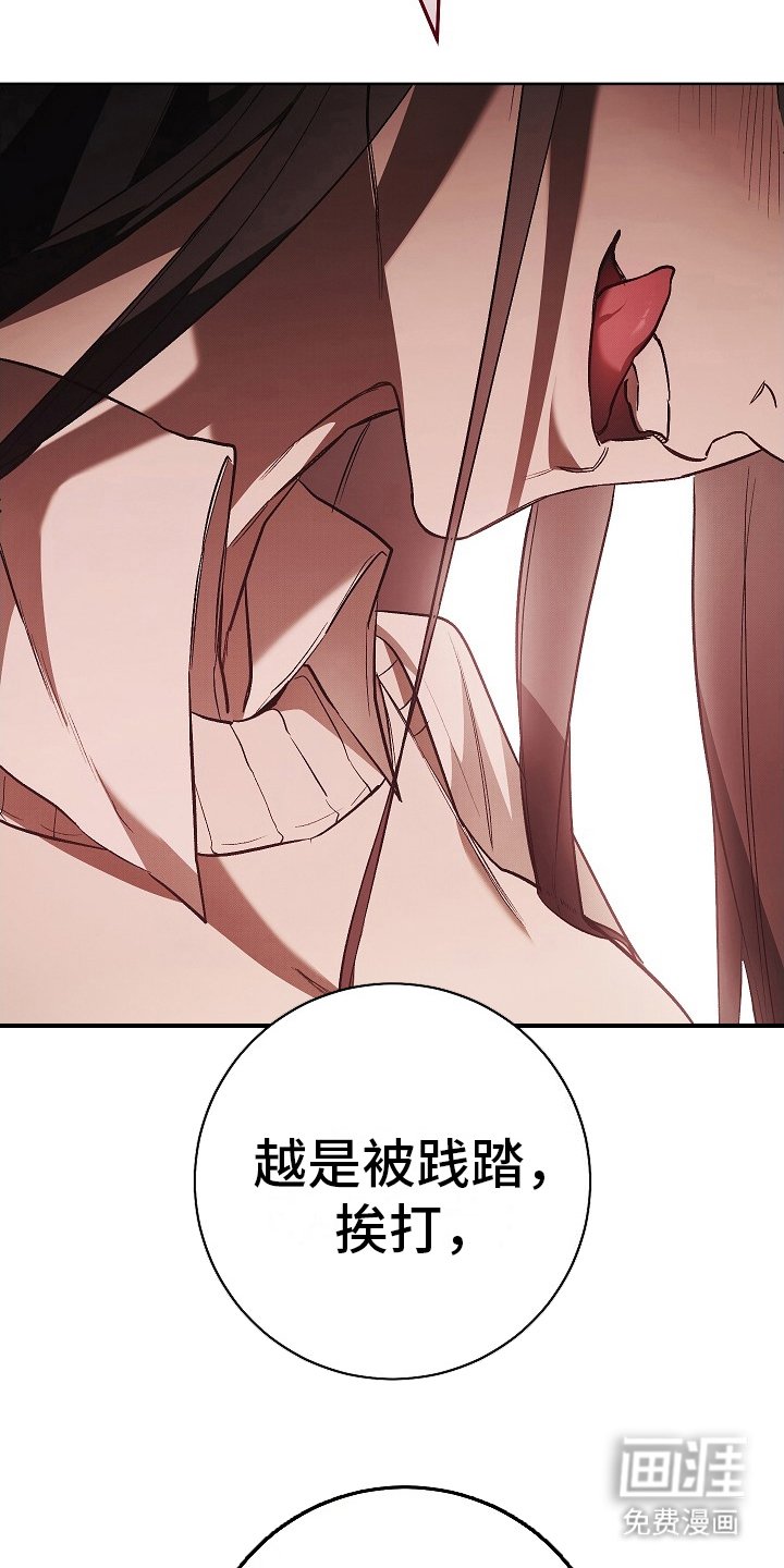 第15章：践踏