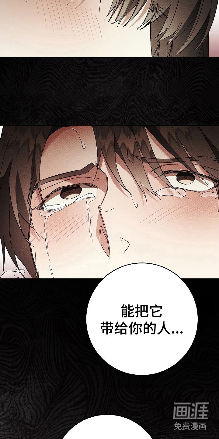 第15章：践踏