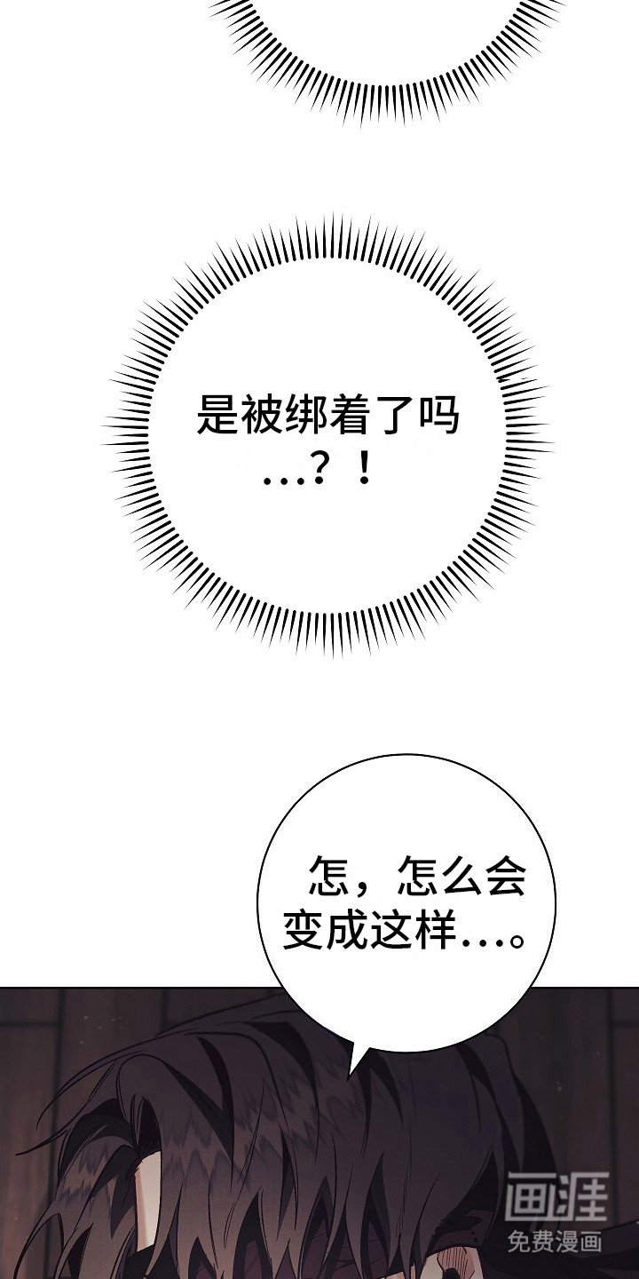 第19章：真正的理由