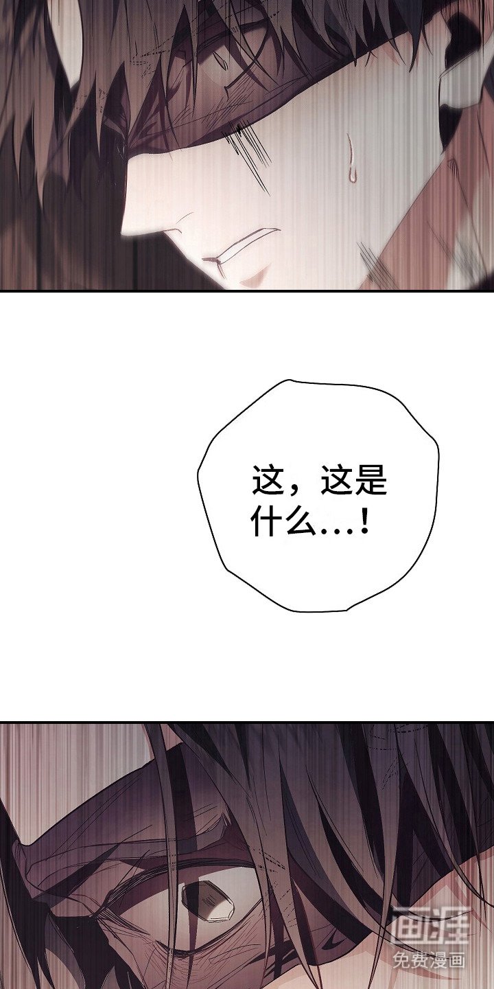 第19章：真正的理由