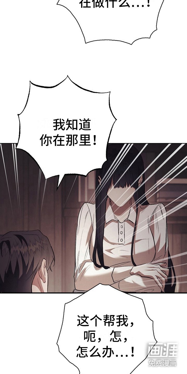 第19章：真正的理由
