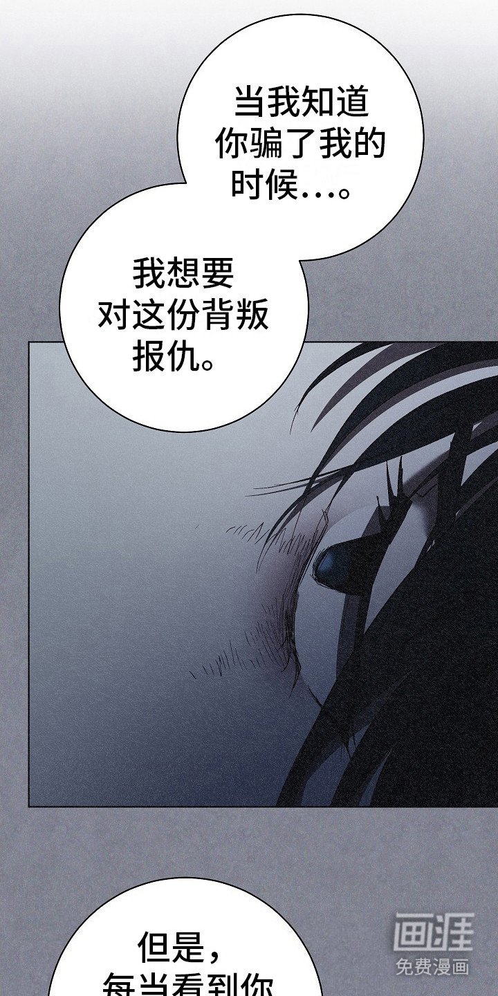 第19章：真正的理由