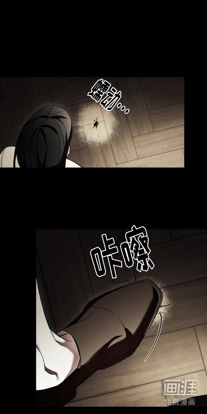 第2章： 隐藏的心