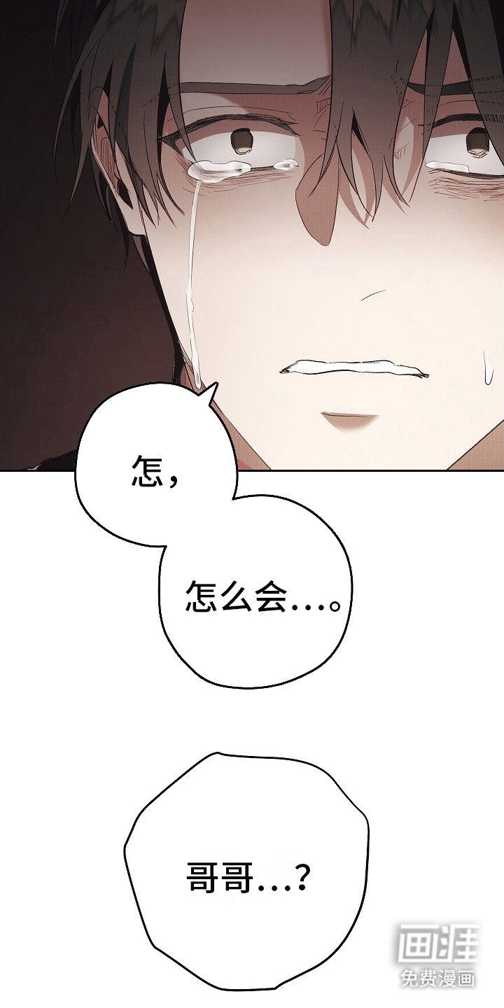 第20章：目睹