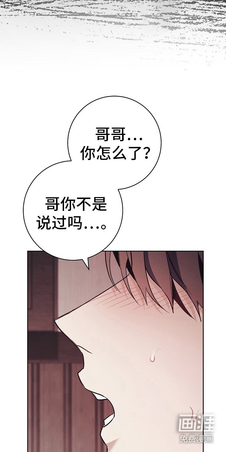 第20章：目睹