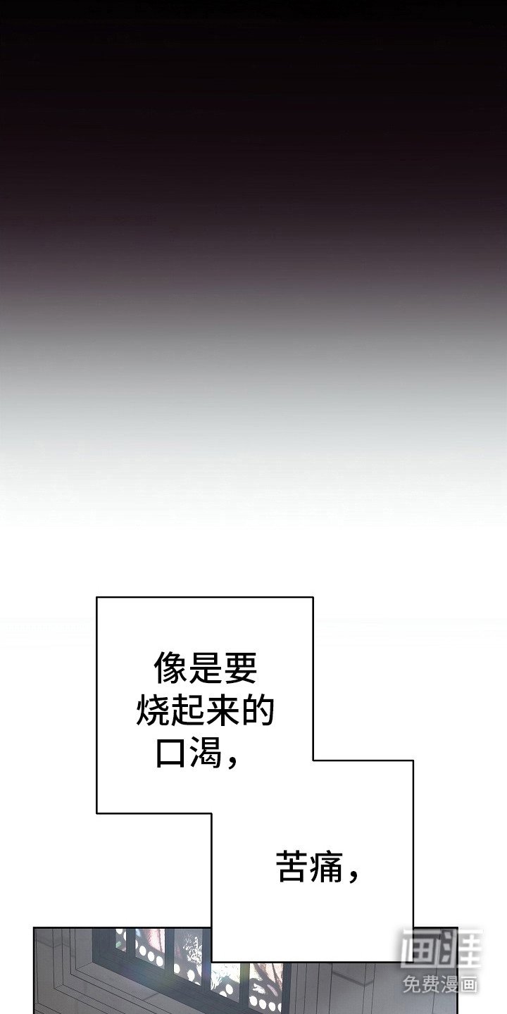 第22章：不再彷徨（完结）