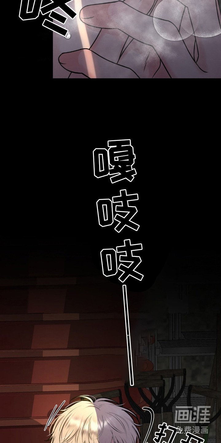 第12章：躲藏