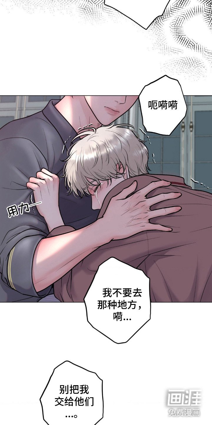 第13章： 生病了