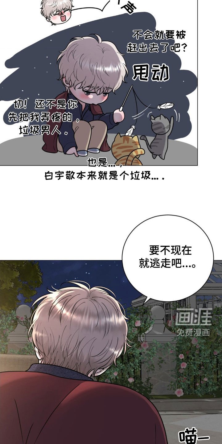 第21章：恻隐之心
