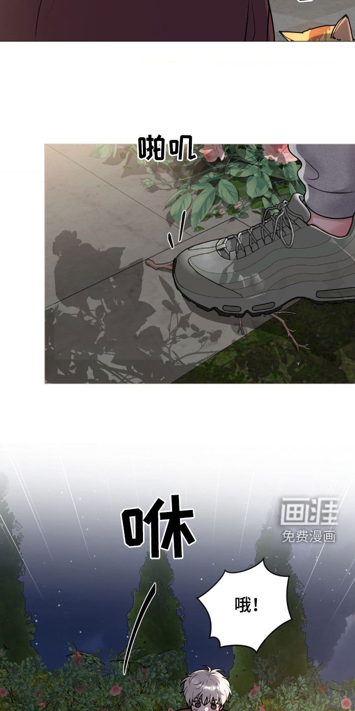 第21章：恻隐之心
