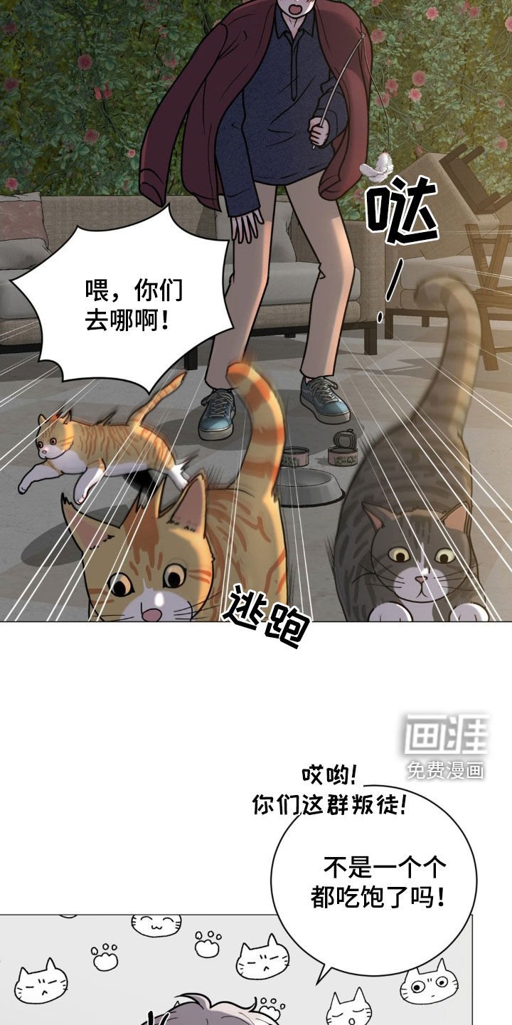 第21章：恻隐之心