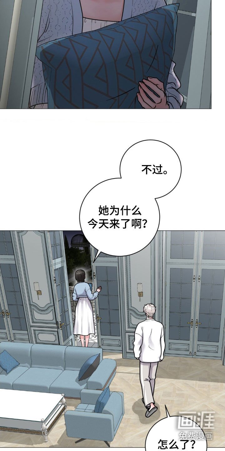 第24章：伴侣