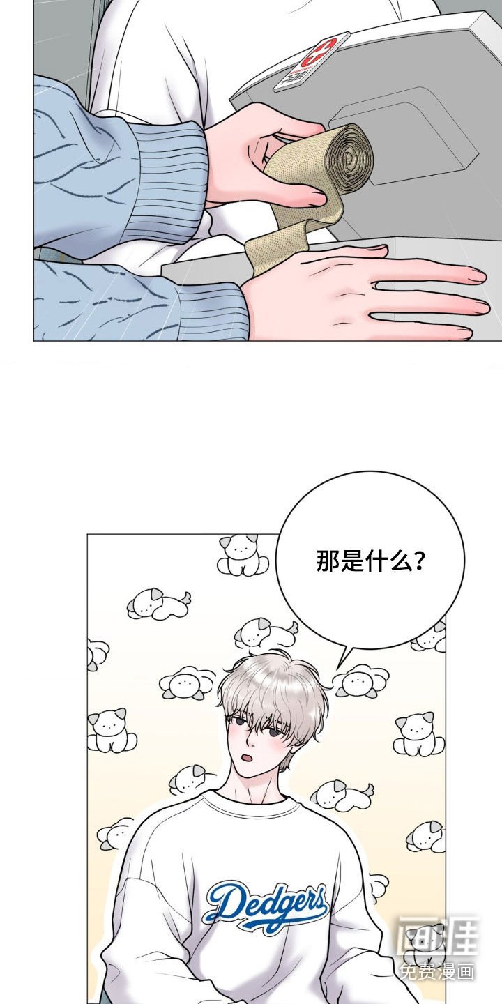 第24章：伴侣