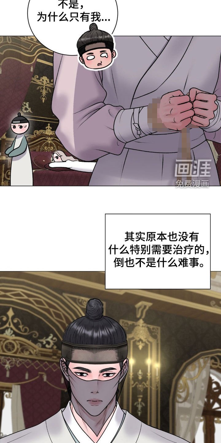 第61章：【番外】治疗皇子