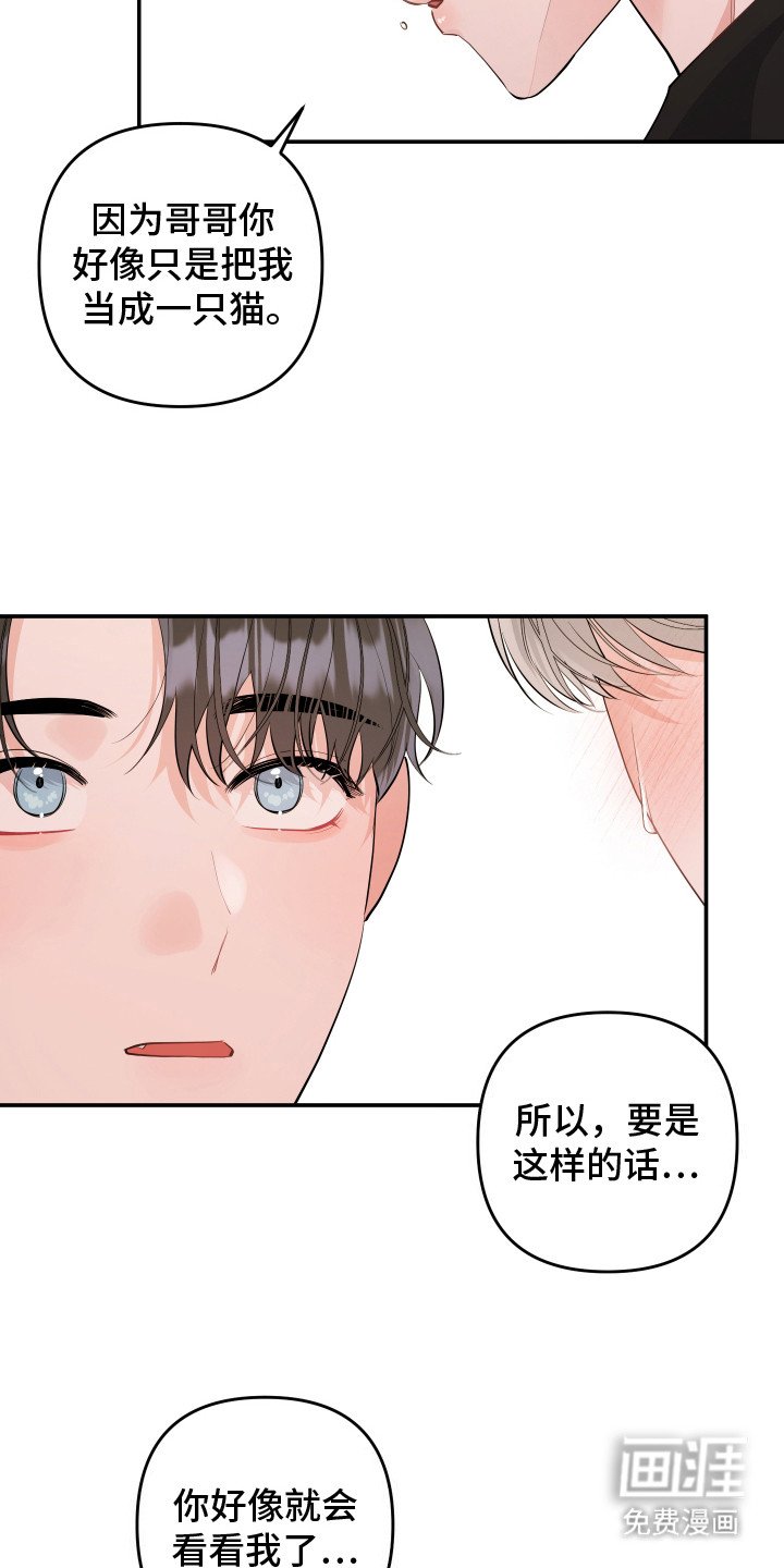 第10章：表白