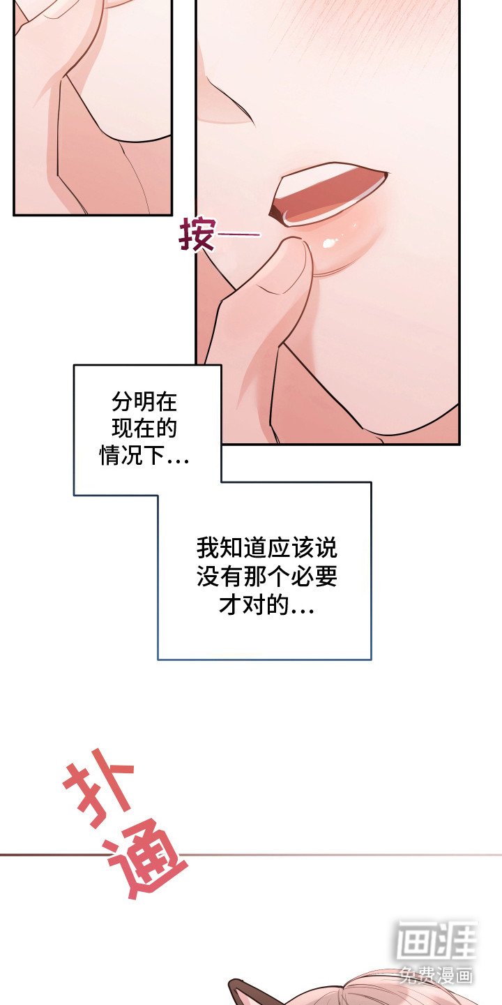 第11章：我的猫咪（完结）
