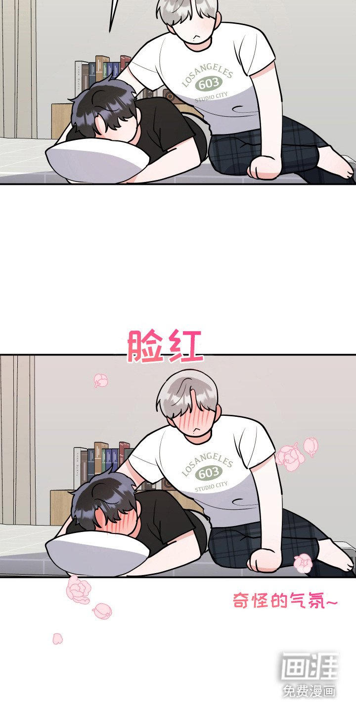 第11章：我的猫咪（完结）