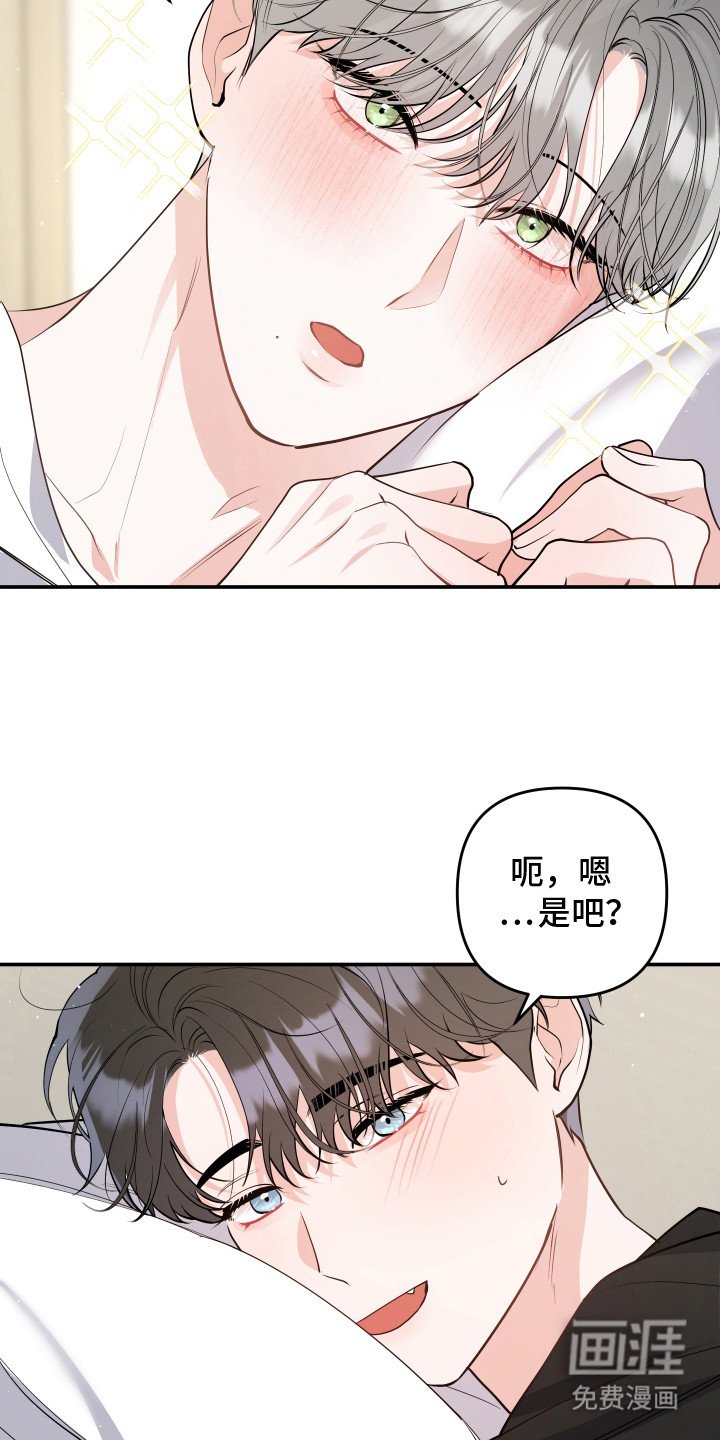 第11章：我的猫咪（完结）