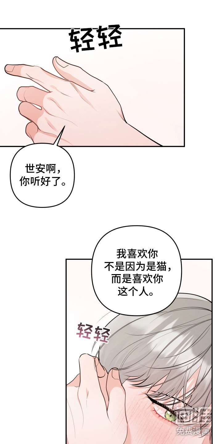 第11章：我的猫咪（完结）