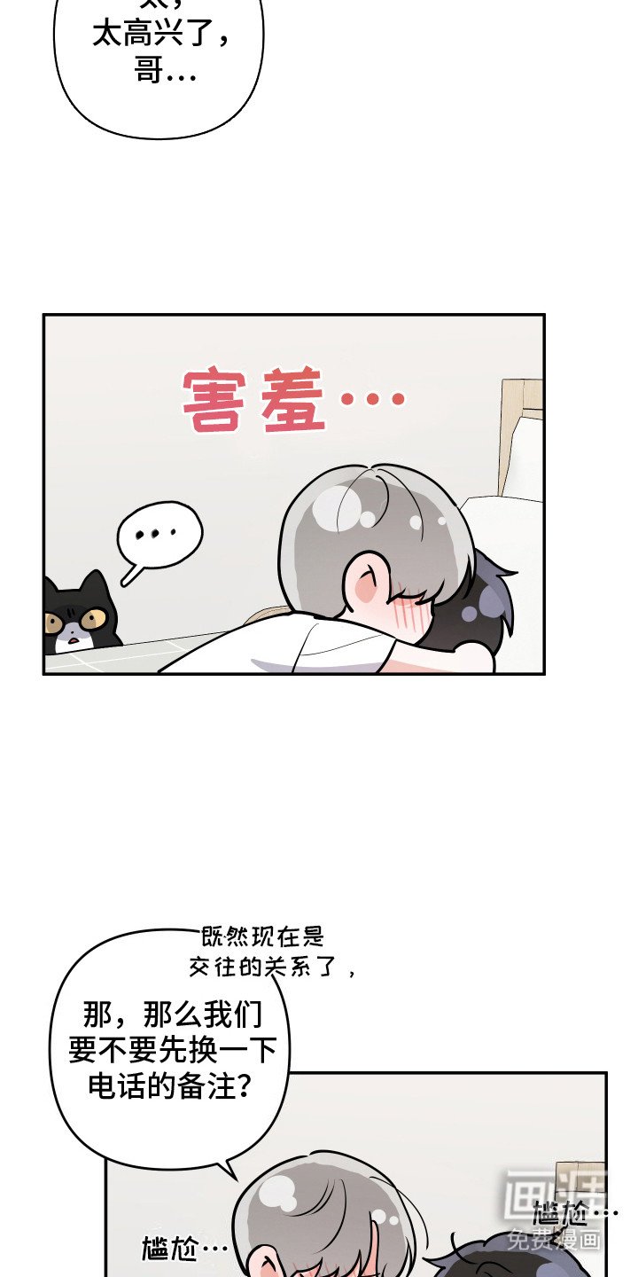 第11章：我的猫咪（完结）