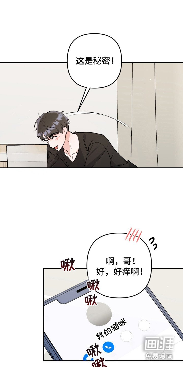 第11章：我的猫咪（完结）