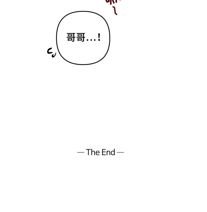 第11章：我的猫咪（完结）