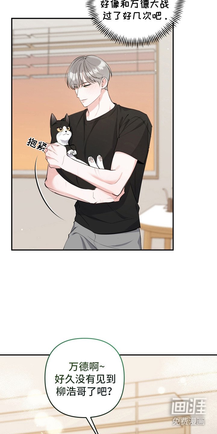 第3章：很像猫咪