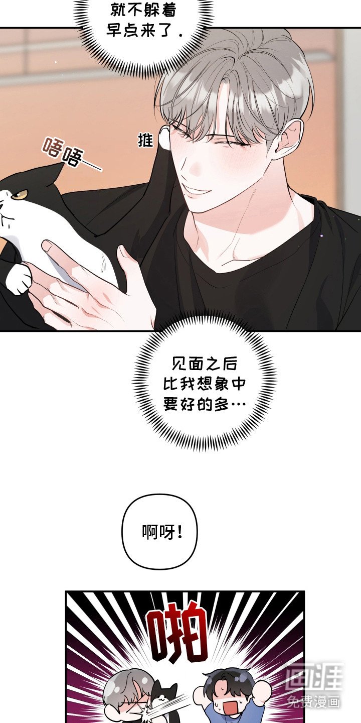 第3章：很像猫咪