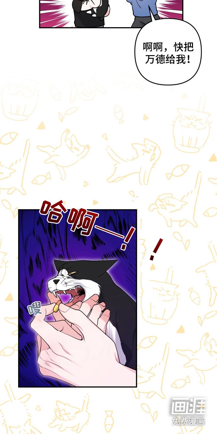 第3章：很像猫咪