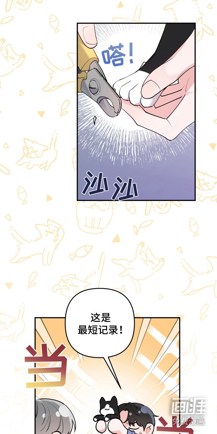 第3章：很像猫咪