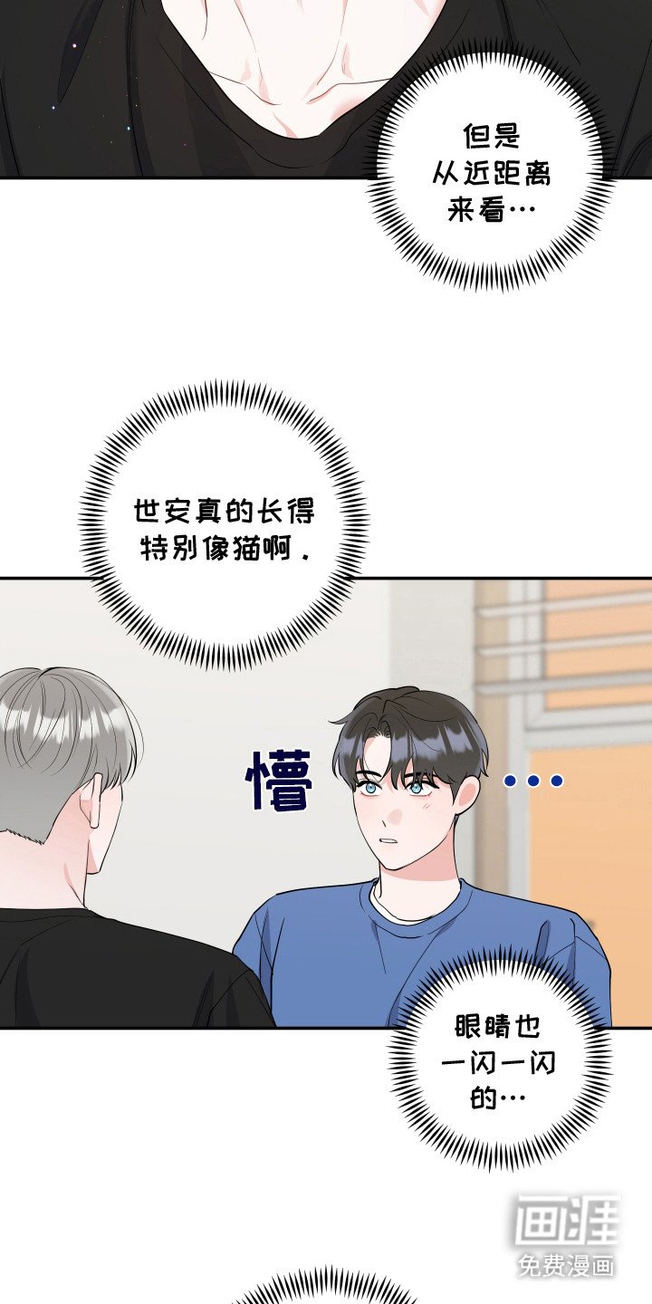 第3章：很像猫咪
