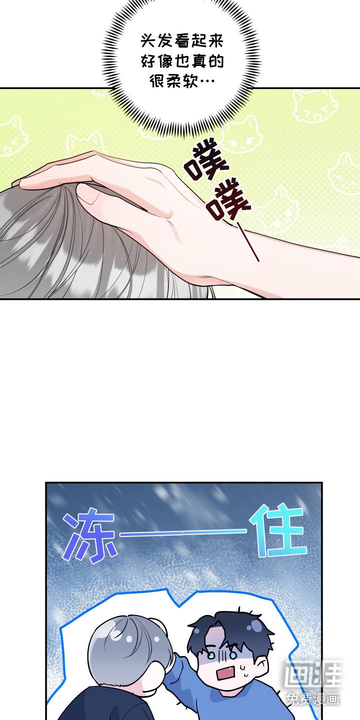 第3章：很像猫咪