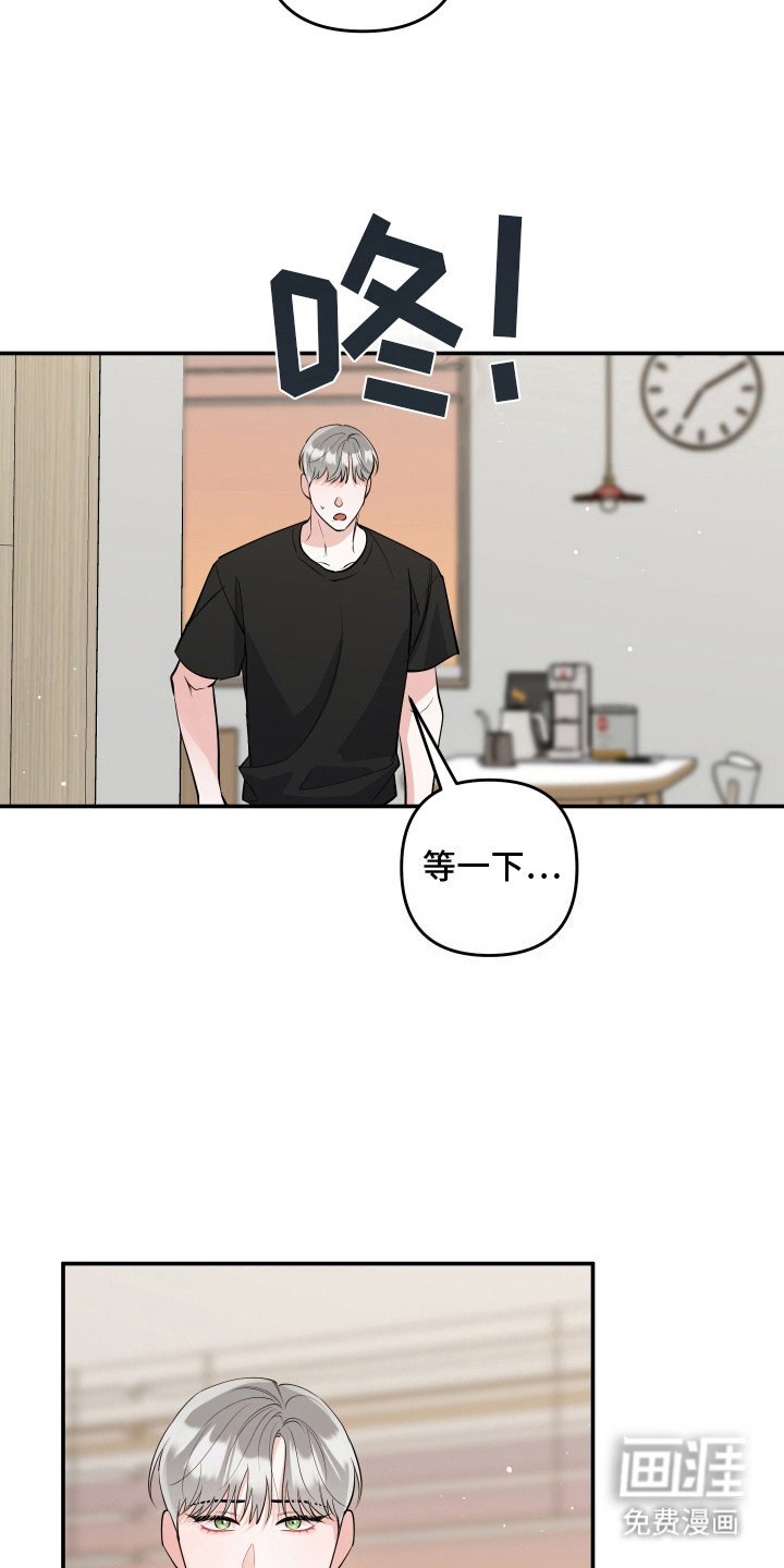 第3章：很像猫咪