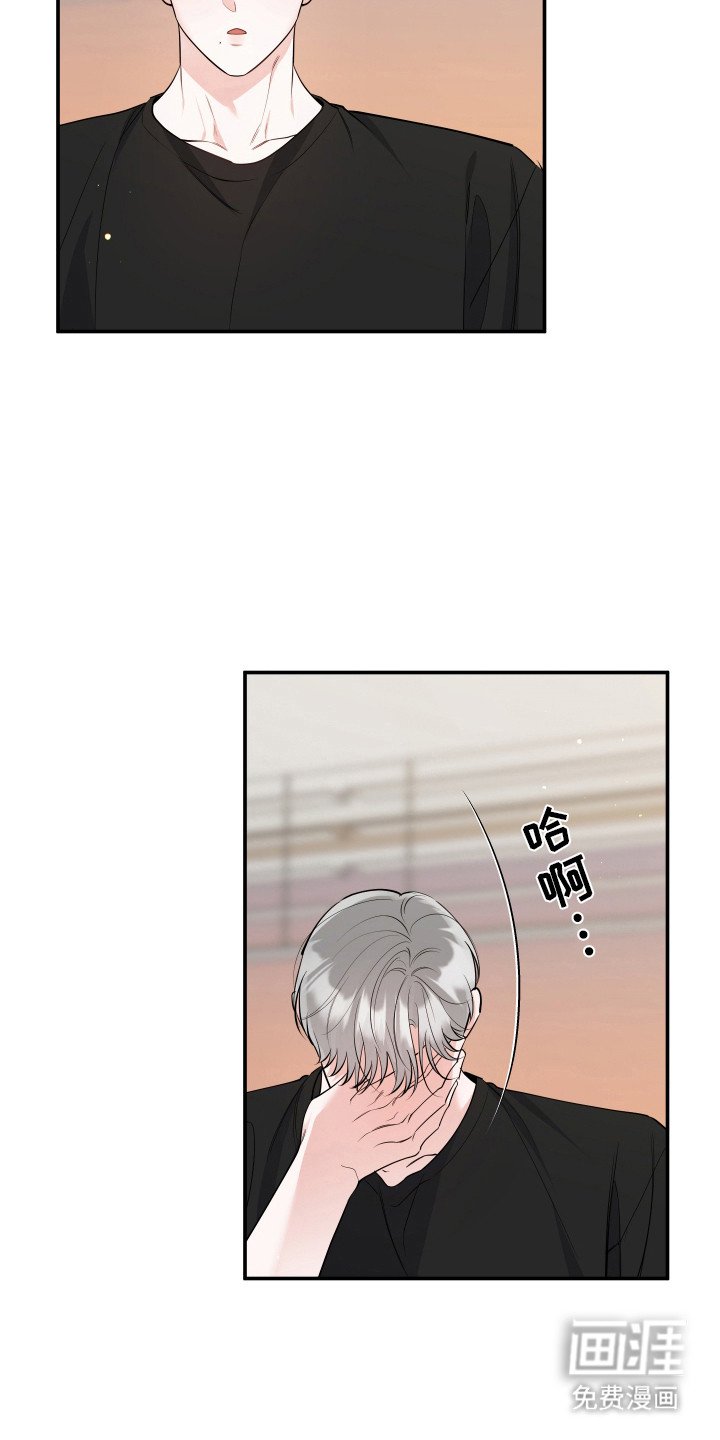 第3章：很像猫咪