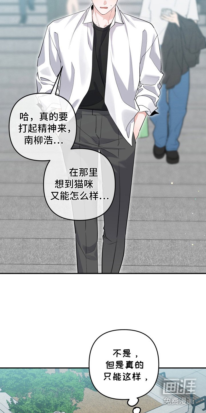 第3章：很像猫咪